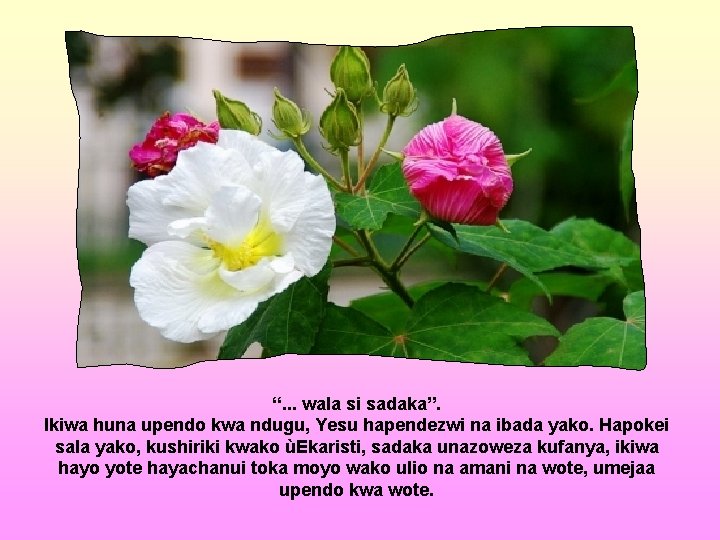 “. . . wala si sadaka”. Ikiwa huna upendo kwa ndugu, Yesu hapendezwi na