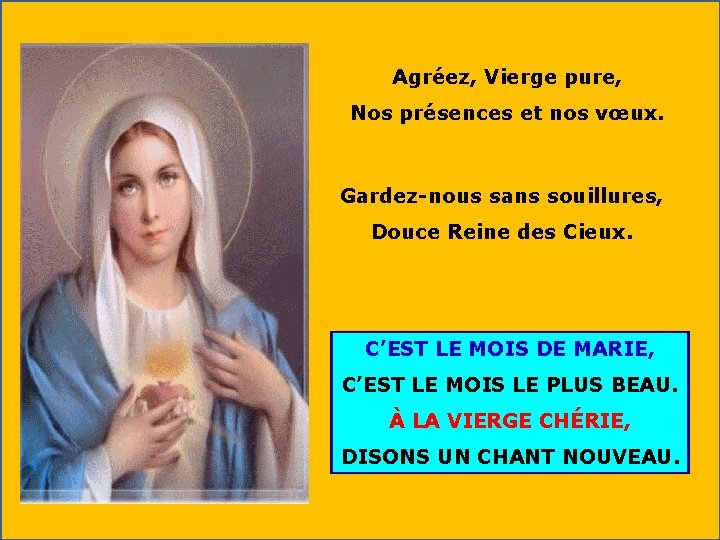 Agréez, Vierge pure, Nos présences et nos vœux. Gardez-nous sans souillures, Douce Reine des