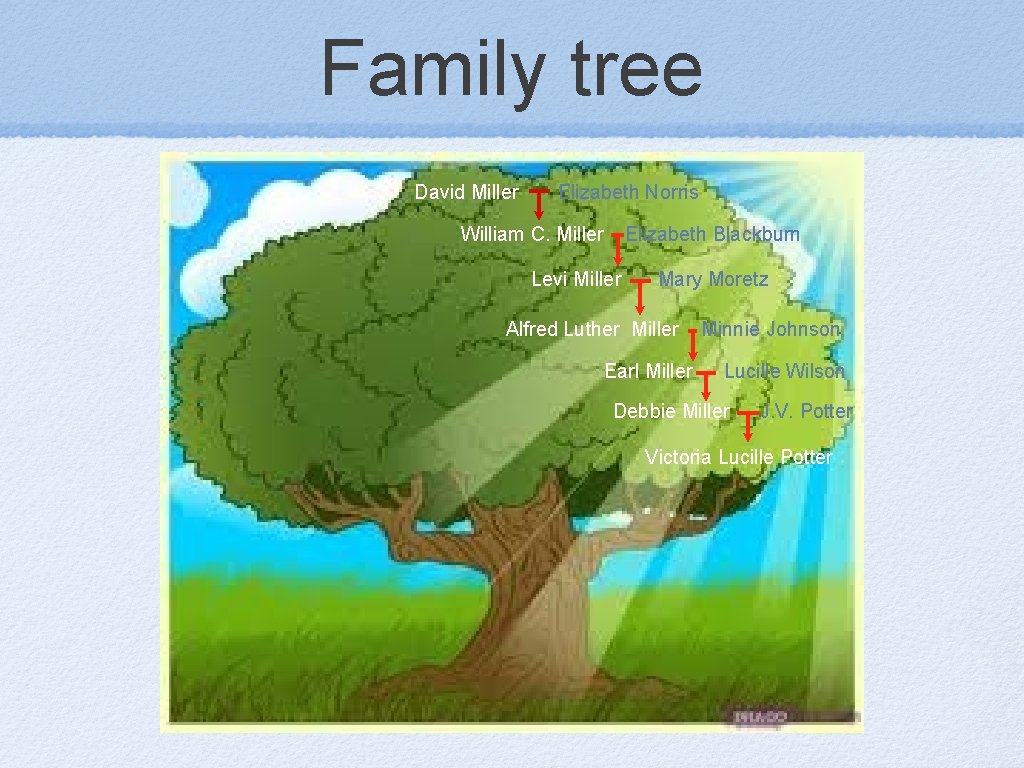 Family tree David Miller Elizabeth Norris William C. Miller Elizabeth Blackburn Levi Miller Mary