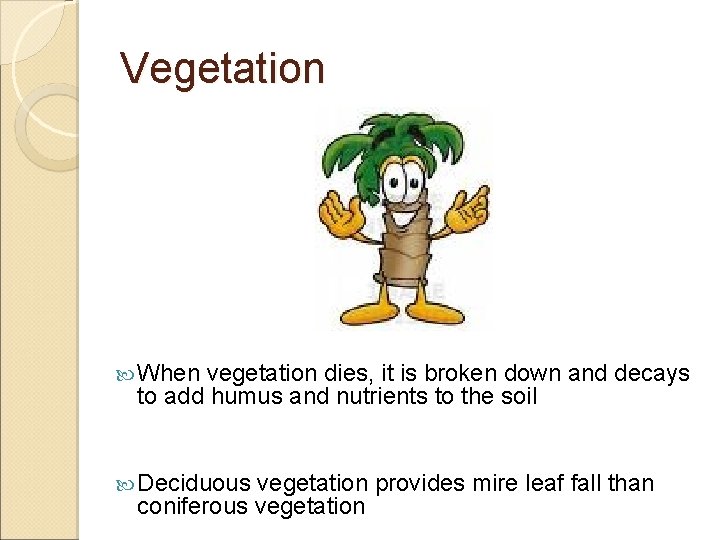Vegetation When vegetation dies, it is broken down and decays to add humus and Vegetation When vegetation dies, it is broken down and decays to add humus and