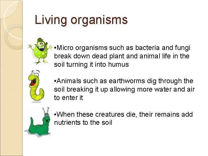 Living organisms • Micro organisms such as bacteria and fungi break down dead plant Living organisms • Micro organisms such as bacteria and fungi break down dead plant