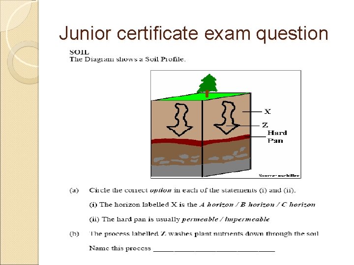 Junior certificate exam question Junior certificate exam question