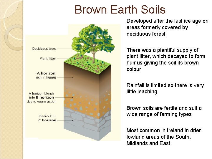 Brown Earth Soils v Developed after the last ice age on areas formerly covered Brown Earth Soils v Developed after the last ice age on areas formerly covered