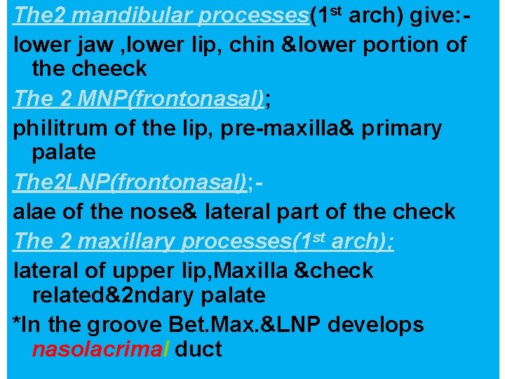 The 2 mandibular processes(1 st arch) give: lower jaw , lower lip, chin &lower