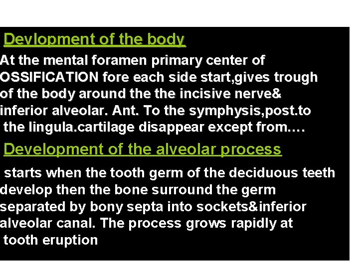 Devlopment of the body At the mental foramen primary center of OSSIFICATION fore each