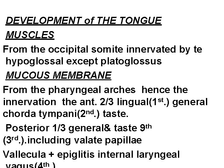 DEVELOPMENT of THE TONGUE MUSCLES From the occipital somite innervated by te hypoglossal except