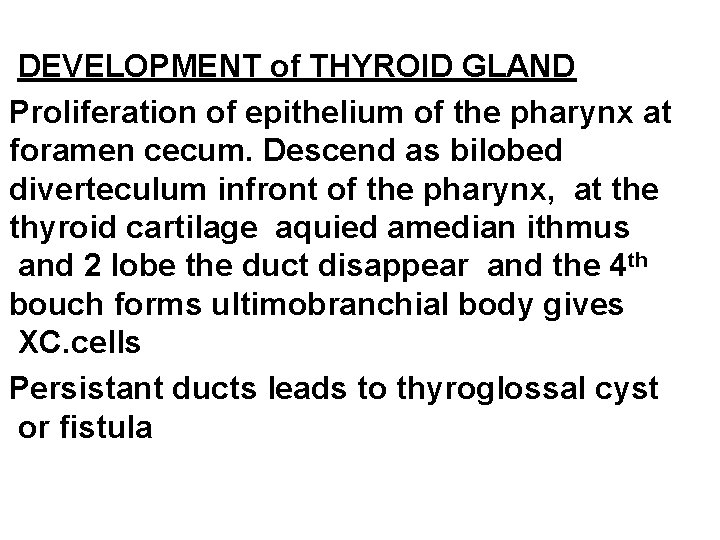 DEVELOPMENT of THYROID GLAND Proliferation of epithelium of the pharynx at foramen cecum. Descend