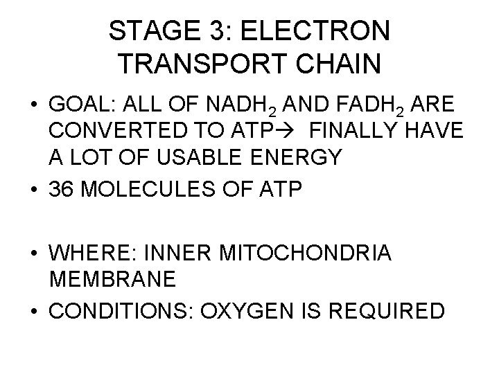 STAGE 3: ELECTRON TRANSPORT CHAIN • GOAL: ALL OF NADH 2 AND FADH 2