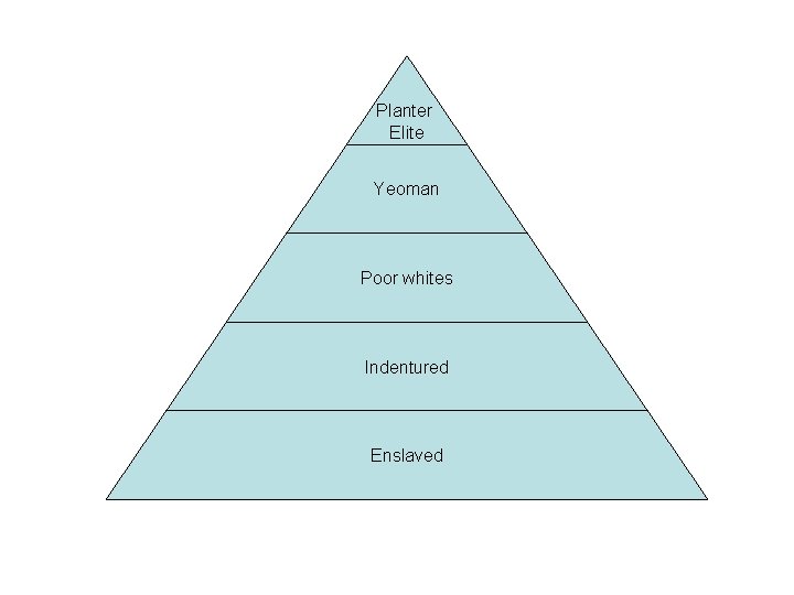 Planter Elite Yeoman Poor whites Indentured Enslaved 