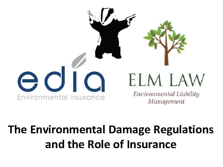 The Environmental Damage Regulations and the Role of