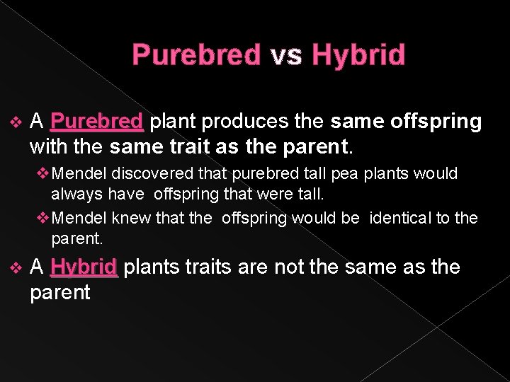 Purebred vs Hybrid v A Purebred plant produces the same offspring with the same