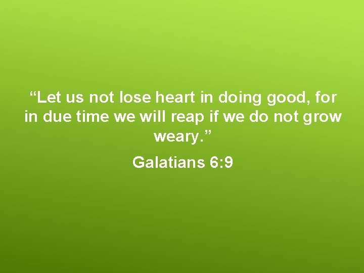 “Let us not lose heart in doing good, for in due time we will