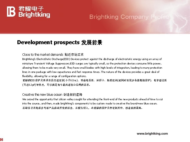 Development prospects 发展前景 Close to the market demands 贴近市场需求 Brightking’s Electro. Static Discharge(ESD) Devices