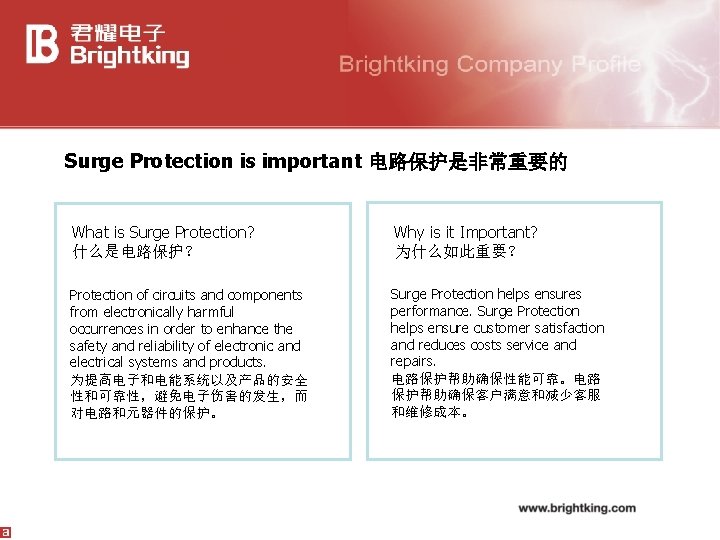 Surge Protection is important 电路保护是非常重要的 What is Surge Protection? 什么是电路保护？ Why is it Important?