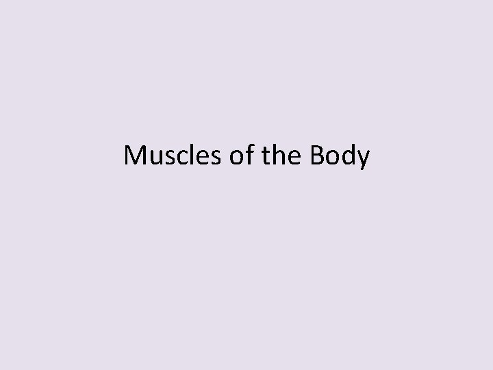 Muscles of the Body 