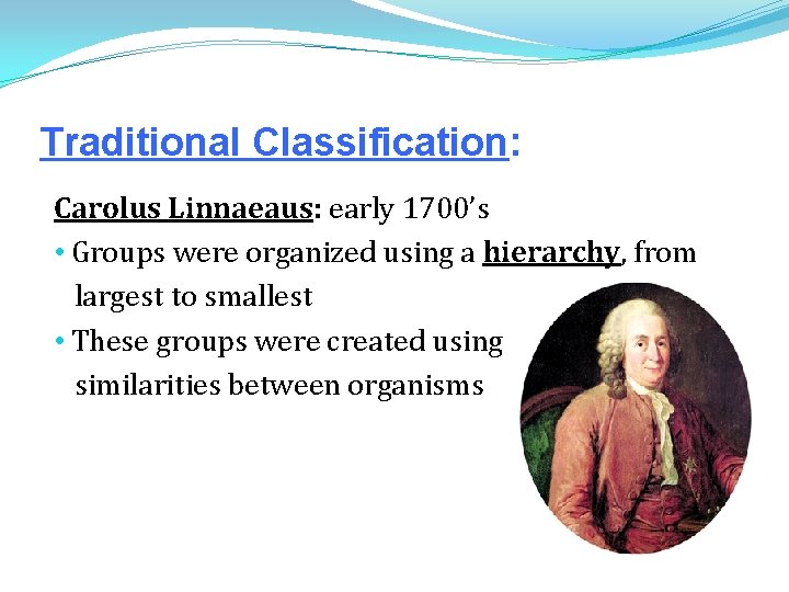 Traditional Classification: Carolus Linnaeaus: early 1700’s • Groups were organized using a hierarchy, from Traditional Classification: Carolus Linnaeaus: early 1700’s • Groups were organized using a hierarchy, from