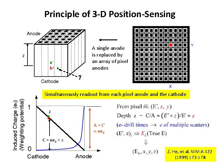 Principle of 3 -D Position-Sensing A single anode is replaced by an array of