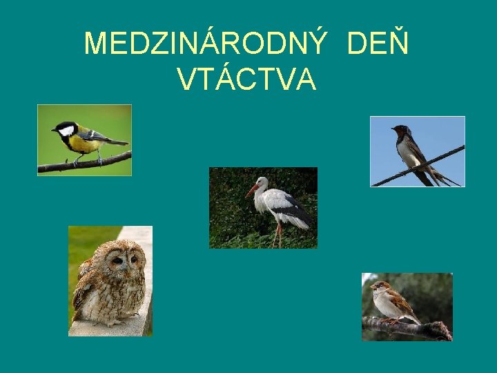 MEDZINÁRODNÝ DEŇ VTÁCTVA 