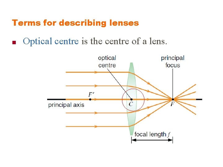 Terms for describing lenses ■ Optical centre is the centre of a lens. 