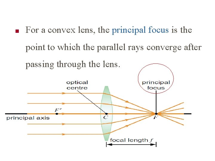 ■ For a convex lens, the principal focus is the point to which the