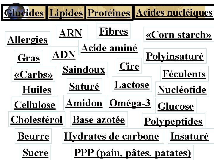 Glucides Lipides Protéines Acides nucléiques Fibres ARN «Corn starch» Allergies Acide aminé Polyinsaturé Gras