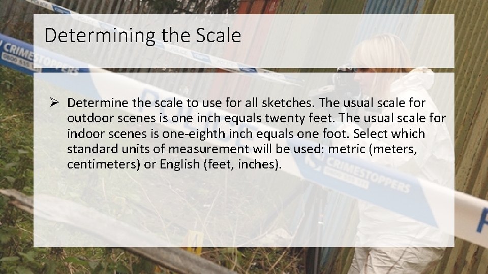 Determining the Scale Ø Determine the scale to use for all sketches. The usual