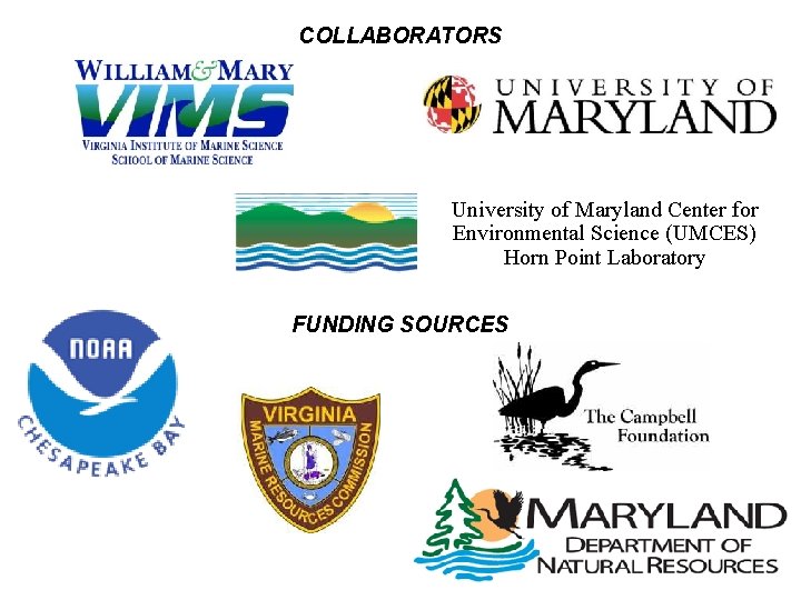 COLLABORATORS University of Maryland Center for Environmental Science (UMCES) Horn Point Laboratory FUNDING SOURCES