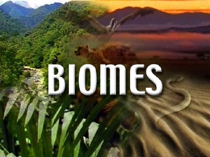 Biomes & Biodiversity 