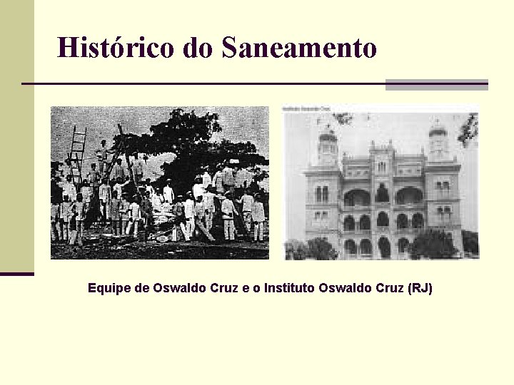 Histórico do Saneamento Equipe de Oswaldo Cruz e o Instituto Oswaldo Cruz (RJ) 