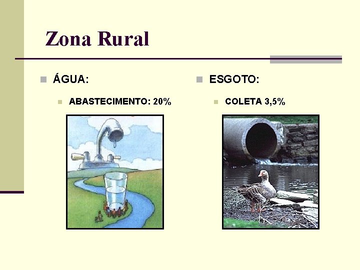 Zona Rural n ÁGUA: n ABASTECIMENTO: 20% n ESGOTO: n COLETA 3, 5% 