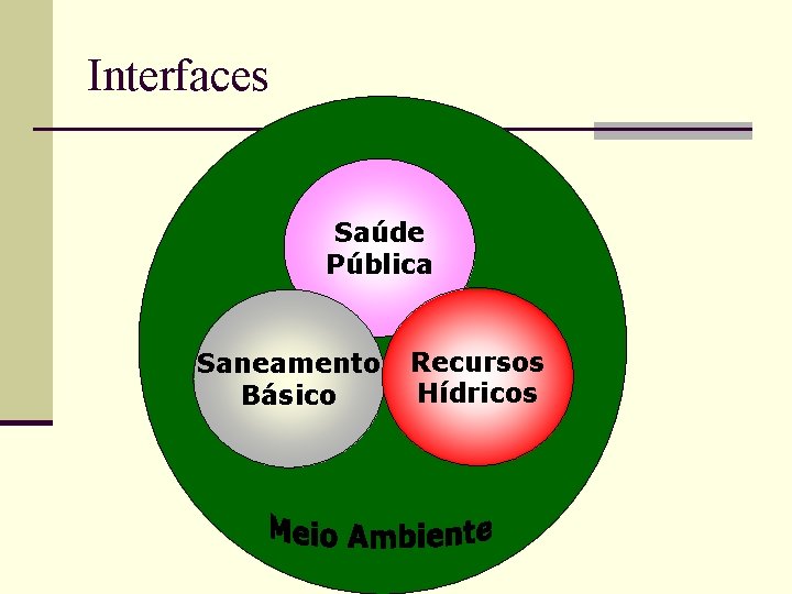 Interfaces Saúde Pública Saneamento Básico Recursos Hídricos 