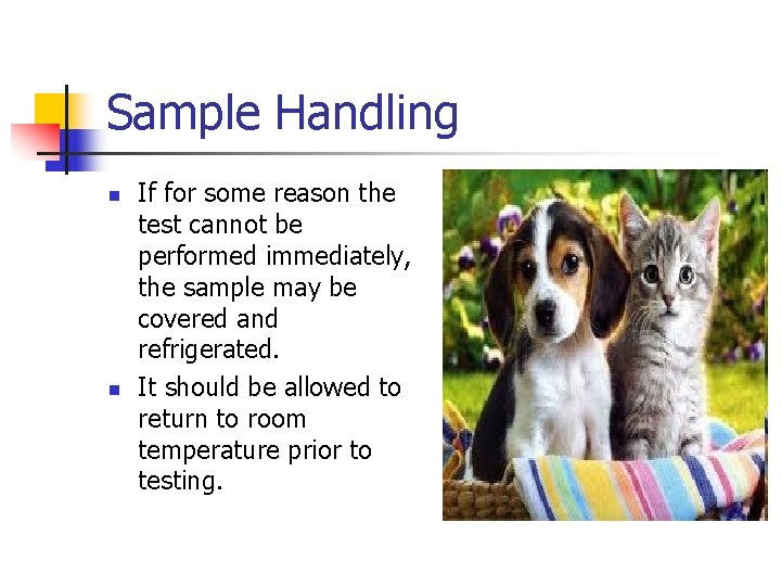 Sample Handling n n If for some reason the test cannot be performed immediately,