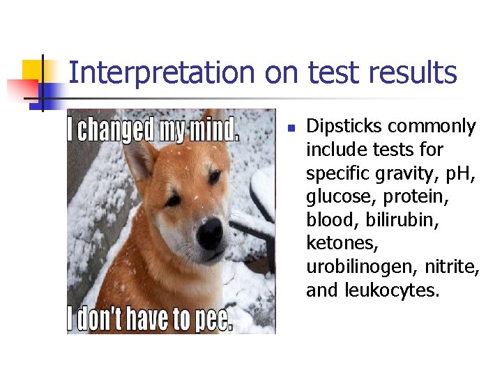 Interpretation on test results n Dipsticks commonly include tests for specific gravity, p. H, Interpretation on test results n Dipsticks commonly include tests for specific gravity, p. H,