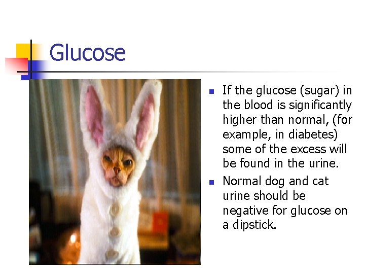 Glucose n n If the glucose (sugar) in the blood is significantly higher than Glucose n n If the glucose (sugar) in the blood is significantly higher than