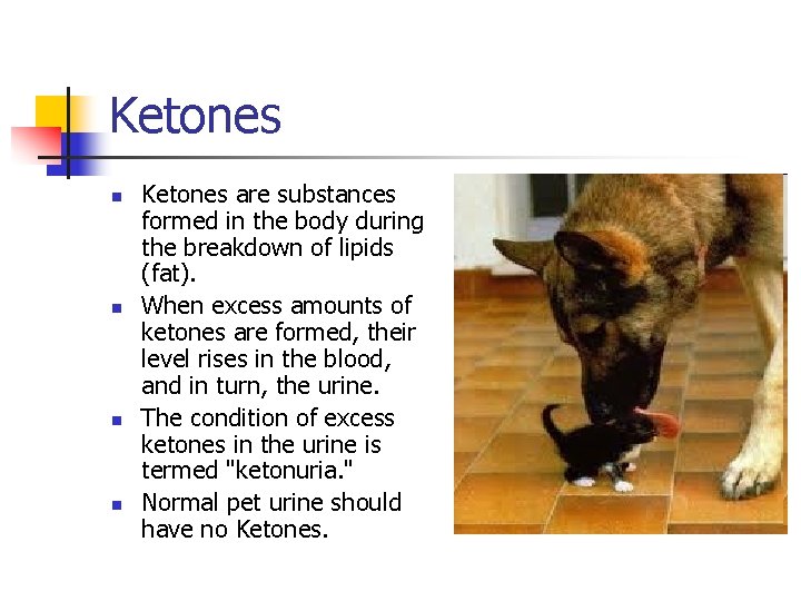 Ketones n n Ketones are substances formed in the body during the breakdown of