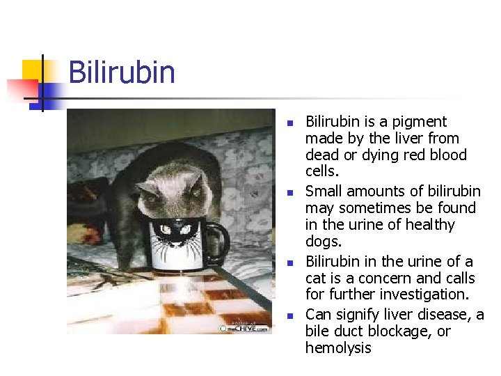 Bilirubin n n Bilirubin is a pigment made by the liver from dead or