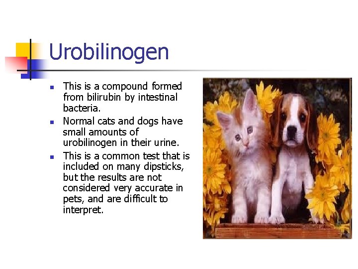 Urobilinogen n This is a compound formed from bilirubin by intestinal bacteria. Normal cats