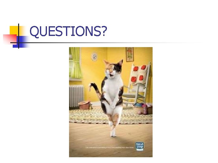 QUESTIONS? QUESTIONS?