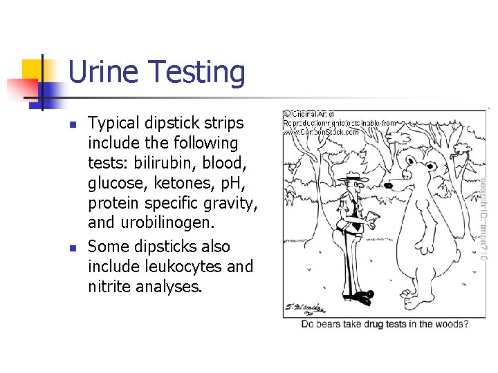 Urine Testing n n Typical dipstick strips include the following tests: bilirubin, blood, glucose,