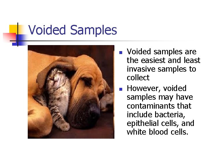 Voided Samples n n Voided samples are the easiest and least invasive samples to Voided Samples n n Voided samples are the easiest and least invasive samples to