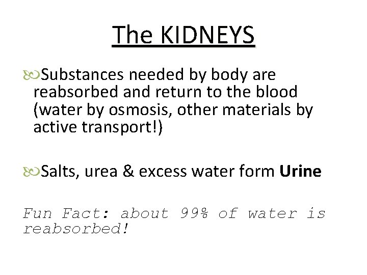 The KIDNEYS Substances needed by body are reabsorbed and return to the blood (water