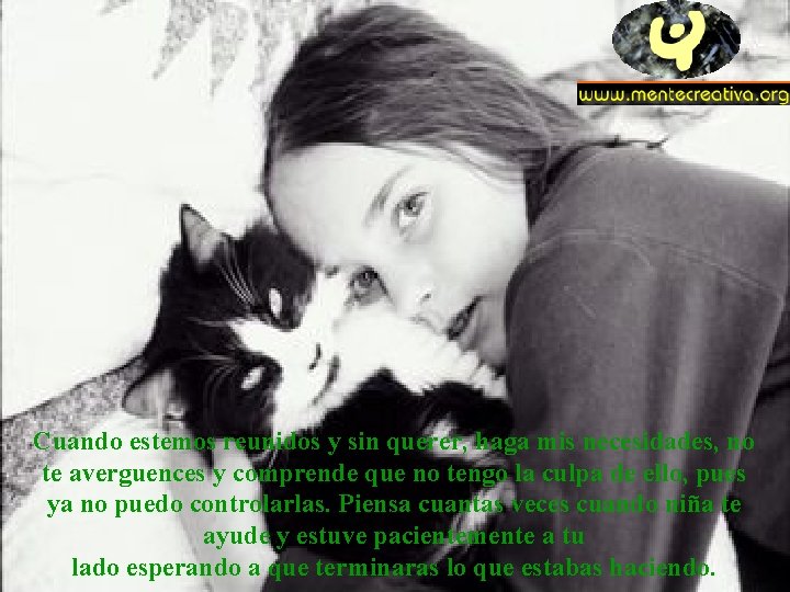Cuando estemos reunidos y sin querer, haga mis necesidades, no te averguences y comprende Cuando estemos reunidos y sin querer, haga mis necesidades, no te averguences y comprende