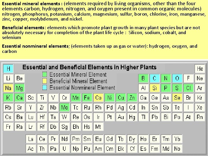 Essential mineral elements : (elements required by living organisms, other than the four elements