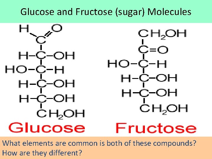 Glucose and Fructose (sugar) Molecules What elements are common is both of these compounds?