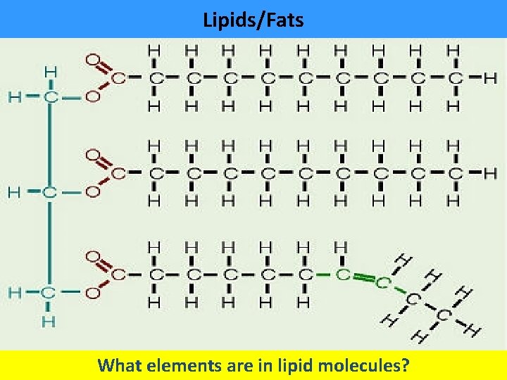 Lipids/Fats What elements are in lipid molecules? 