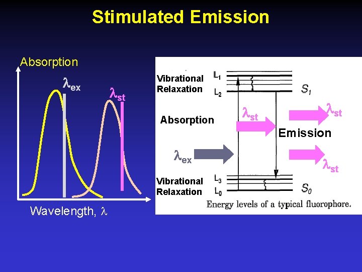 Stimulated Emission Absorption ex st Vibrational Relaxation Absorption st Emission ex Vibrational Relaxation Wavelength,