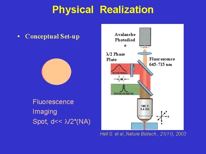 Physical Realization • Conceptual Set-up STED Spot Avalanche Photodiod e λ/2 Phase Plate Fluorescence