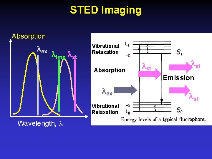 STED Imaging Absorption ex img st Vibrational Relaxation Absorption st Emission ex Vibrational Relaxation