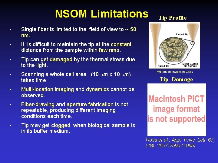 NSOM Limitations • Single fiber is limited to the field of view to ~