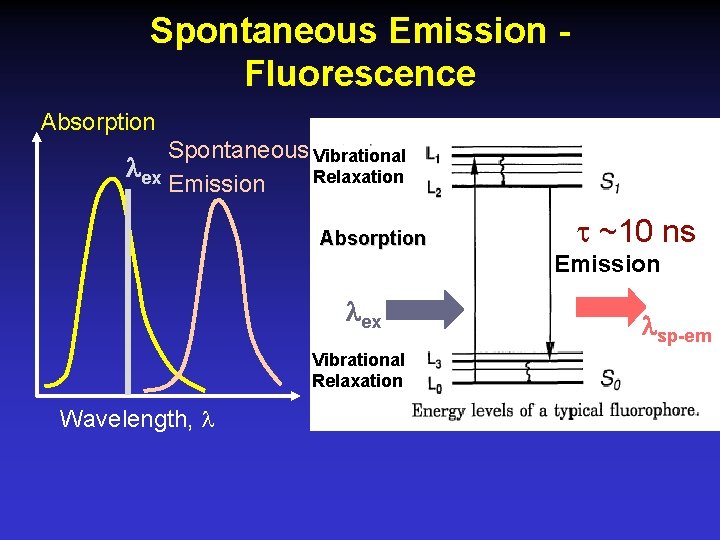 Spontaneous Emission Fluorescence Absorption Spontaneous Vibrational ex Relaxation Emission Absorption ~10 ns Emission ex